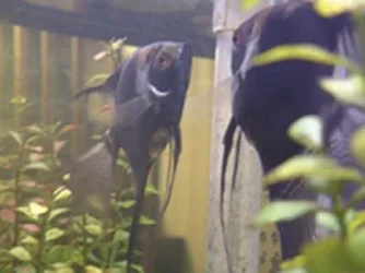 DSCF0103.webp