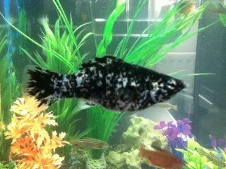 img0303me.webp