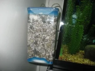 001-w.webp