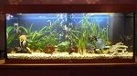 Tank Feb 2012.webp