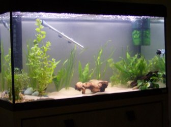 HPIM0706.JPG HPIM0706.JPG