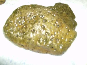 HPIM0717.webp