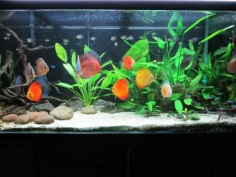 IMG_0006.webp