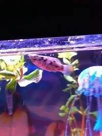 086_SML.webp