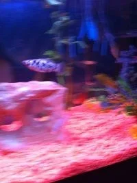 084_SML.webp