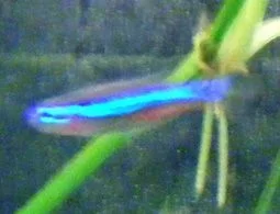 DSCF3974.webp