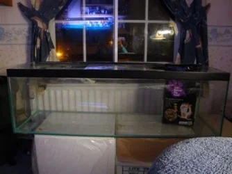 New tank.webp