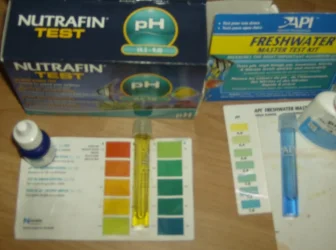 HPIM0744.webp