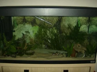HPIM0784.webp
