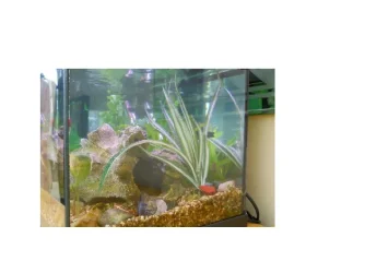 Big Tank - Side.webp