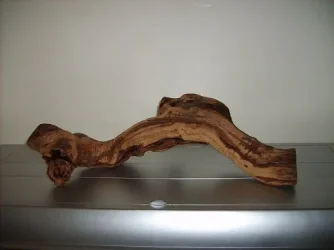 bog wood.webp