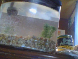 Snapshot_20120410_3.webp