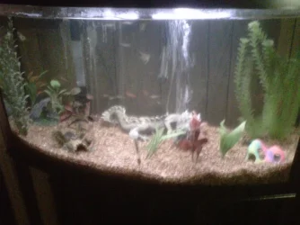 IMG-20120419-00078.webp