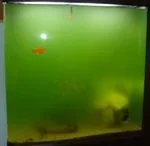 DSCF1590.webp