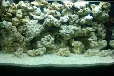 Malawi Tank.webp