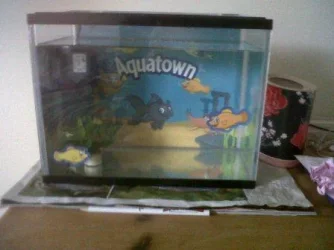 happys tank.webp