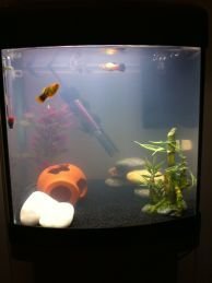 IMG_0832.JPG IMG_0832.JPG