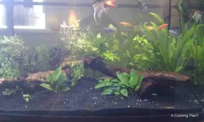 IMAG0580.webp IMAG0580.webp