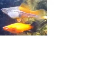Untitled.webp