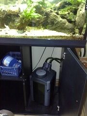 tank3.jpg