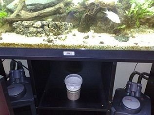 tank4.jpg