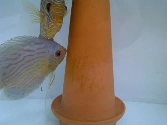 IMG-20120527-WA0004.webp