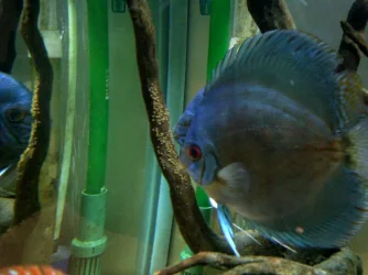 IMG-20120527-WA0008.webp