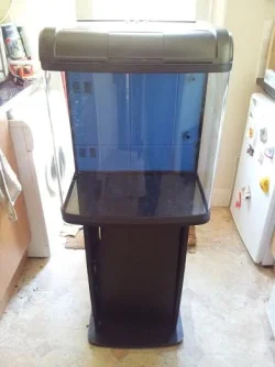 tank 1.webp