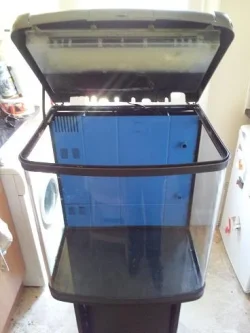 tank 2.webp