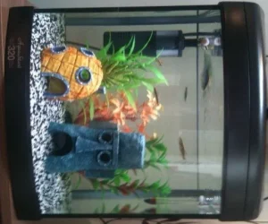 fish tank.webp