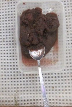 IMG_8184.JPG IMG_8184.JPG