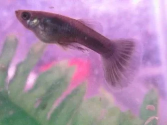 IMG_8771.webp