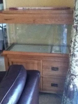Fish Tank first.webp