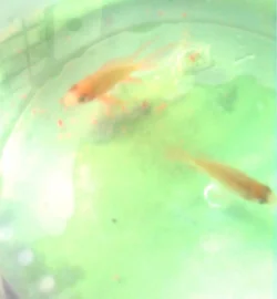 Image 2.webp