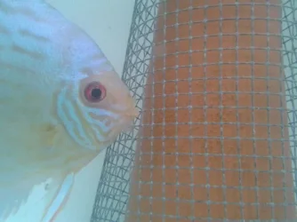 2012-07-12 07.44.54.webp