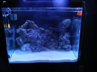 front tank.webp