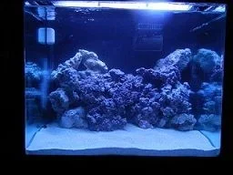 tank.webp