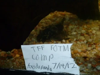 FOTM verify 7:14:12.webp