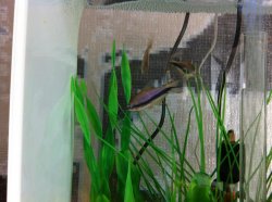 487784_10151123500090439_1970652252_n.jpg 487784_10151123500090439_1970652252_n.jpg