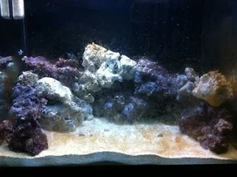 re aquascaped.webp
