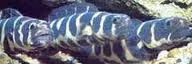 imagesCA9BAOVR.webp