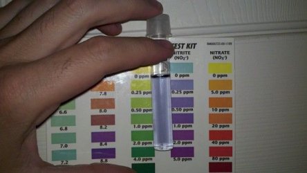 2012-06-16_15-28-43_821_opt.jpg 2012-06-16_15-28-43_821_opt.jpg