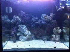 tank shot 1 rock layout.webp