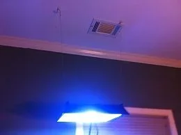 light 1.webp