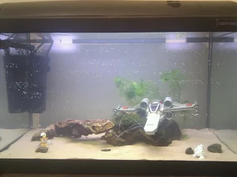 Tank Day 00.webp