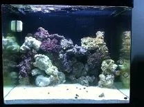 front shot of 35g 8-4-12.webp