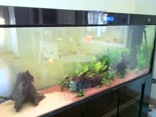 photo(5).webp
