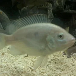 2012-08-01 20.53.07-1.webp