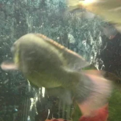2012-08-11 22.56.14-1.webp