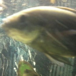 2012-08-11 22.56.07-1.jpg